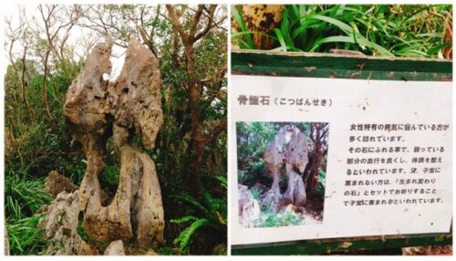 沖縄　パワースポット　大石林山