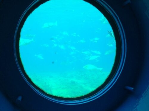 ブセナ海中公園　海中展望塔