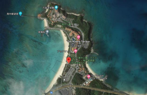 ブセナ海中公園　ブログ