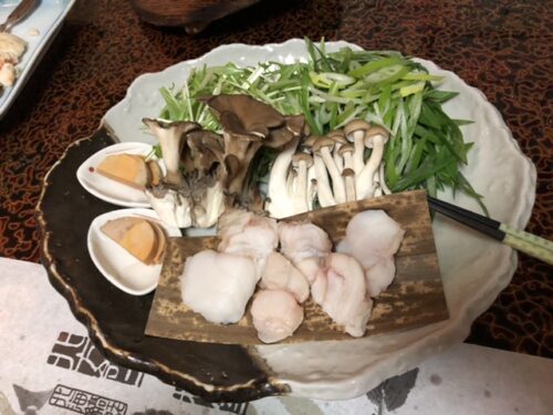 ペットと泊まれる宿 北海道 定山渓 ふる川 ペット同伴ブログ 305号室 朝食 夕食編 ゆったり旅行ブログ ペットと泊まれる宿 北海道 定山渓 ふる川 ペット同伴ブログ 305号室 朝食 夕食編 ゆったり旅行ブログ