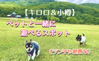 北海道ペット同伴 ゆったり旅行ブログ 北海道ペット同伴 ゆったり旅行ブログ