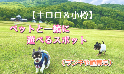 キロロ 小樽 ペットと一緒にランチや散歩が出来るスポット ゆったり旅行ブログ キロロ 小樽 ペットと一緒にランチや散歩が出来るスポット ゆったり旅行ブログ