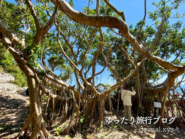 宮城島　パワースポット