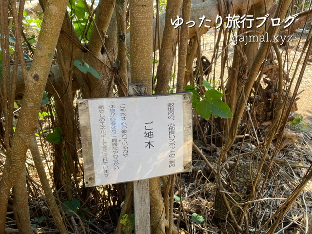 宮城島　パワースポット