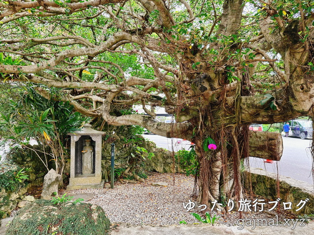 首里十二支巡り　安國寺