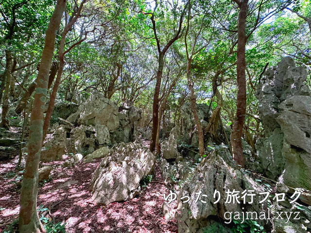 大石林山 パワースポット 沖縄　ブログ