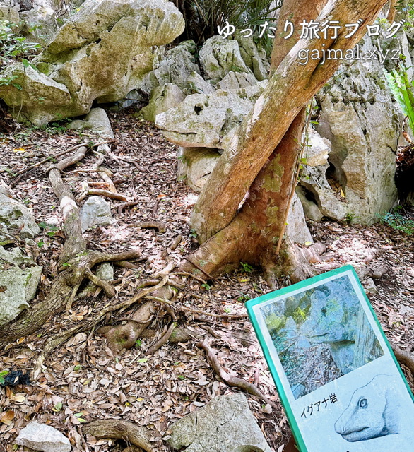 大石林山 パワースポット 沖縄　ブログ