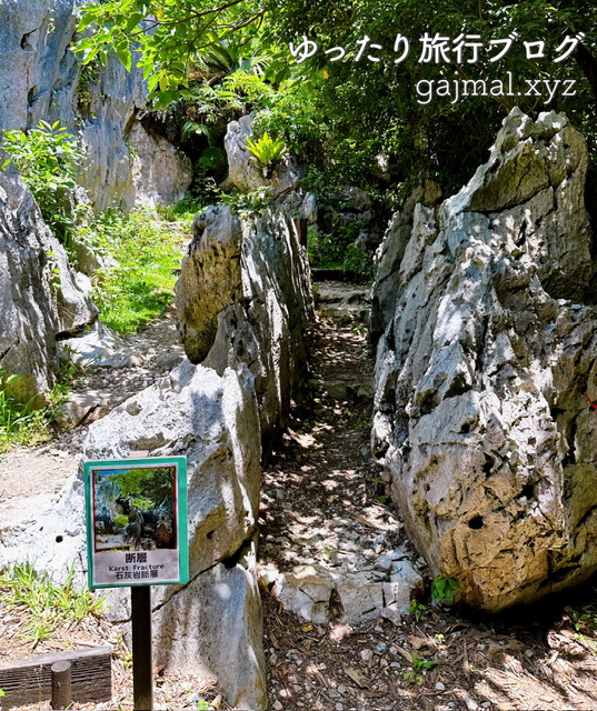 大石林山 パワースポット 沖縄　ブログ