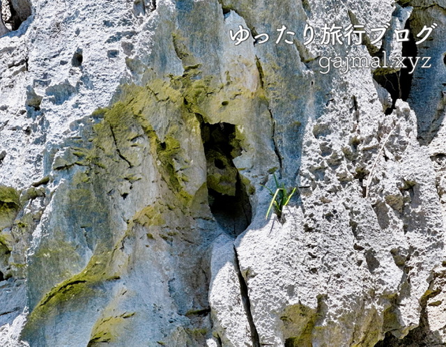 大石林山 パワースポット 沖縄　ブログ