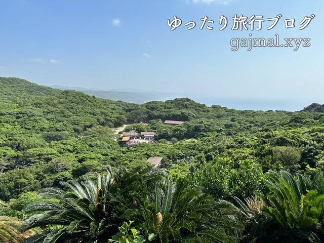 大石林山 スピリチュアルツアー ブログ