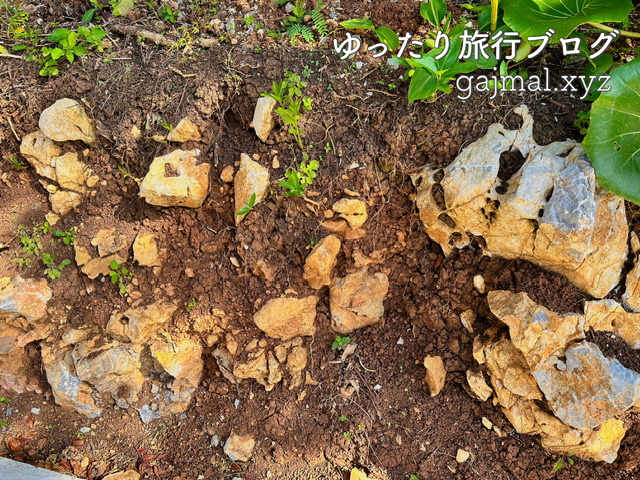 大石林山　ブログ　沖縄