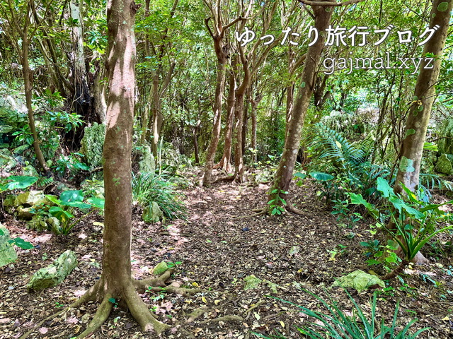 大石林山 パワースポット 沖縄　ブログ