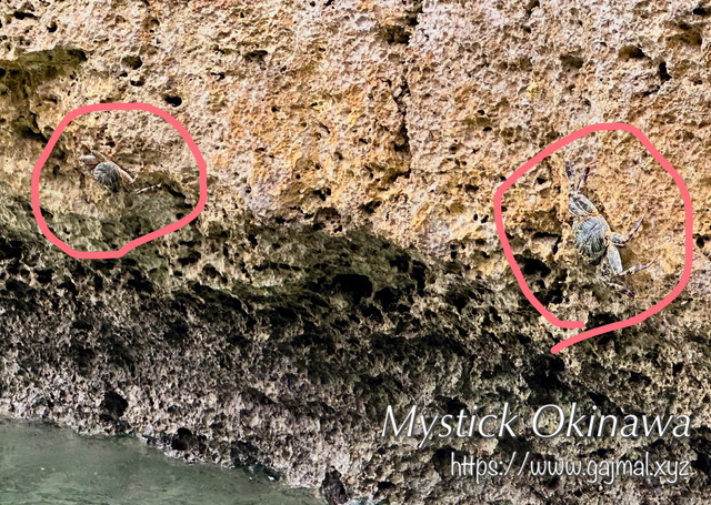 はじまりの洞窟 チグヌ浜