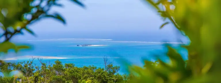 占い目的ならユタだけじゃない?ユタ家系霊能者という選択肢