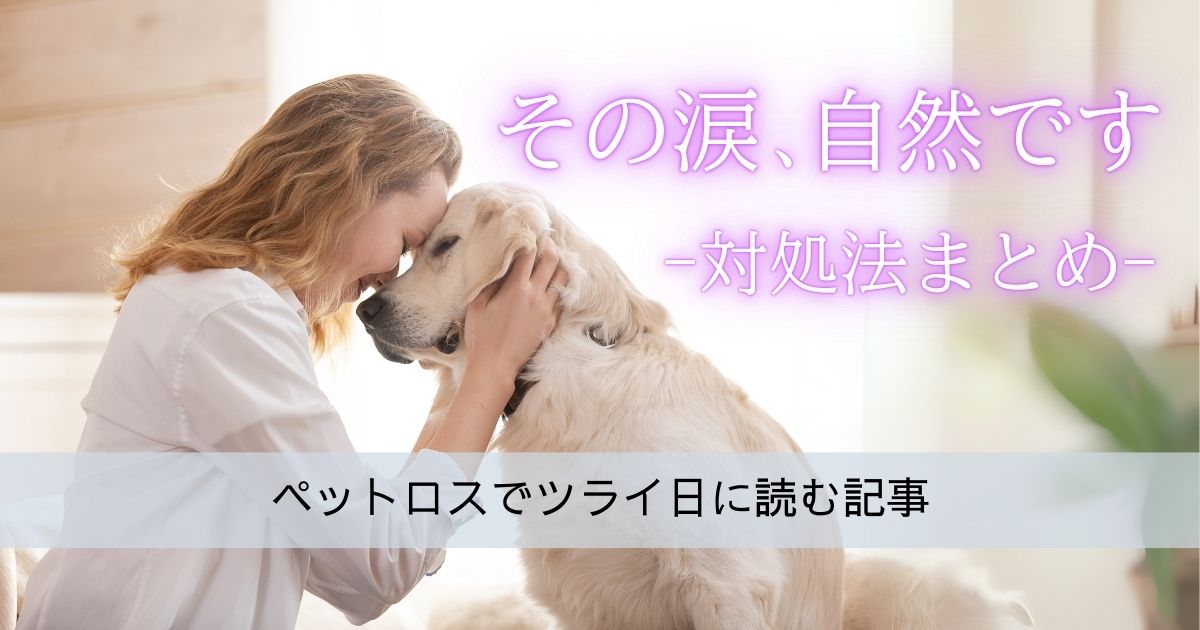 【ペットロスで仕事中泣く人へ】心の整え方と相談先の選び方