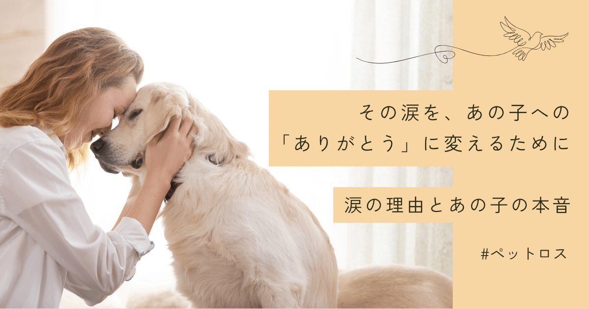 ペットロスで仕事中泣く人へ｜心理士が伝えたい対処法とあの子の本音