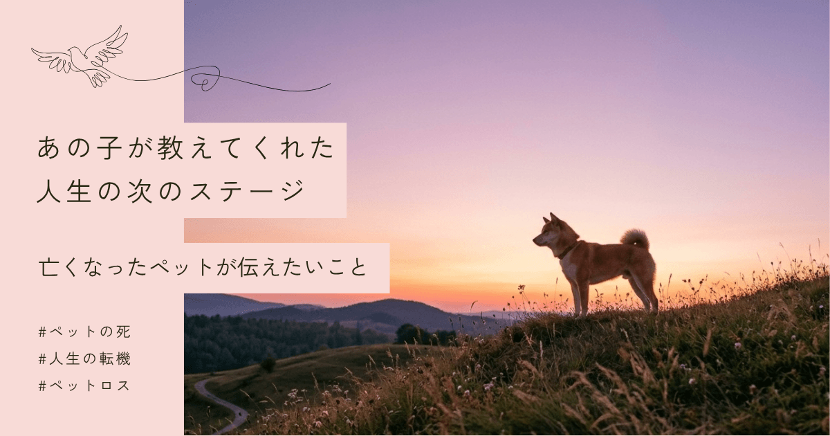 人生の転機はペットの死で訪れる？スピリチュアルな意味と身代わり説を霊能者に聞いてみた (1)