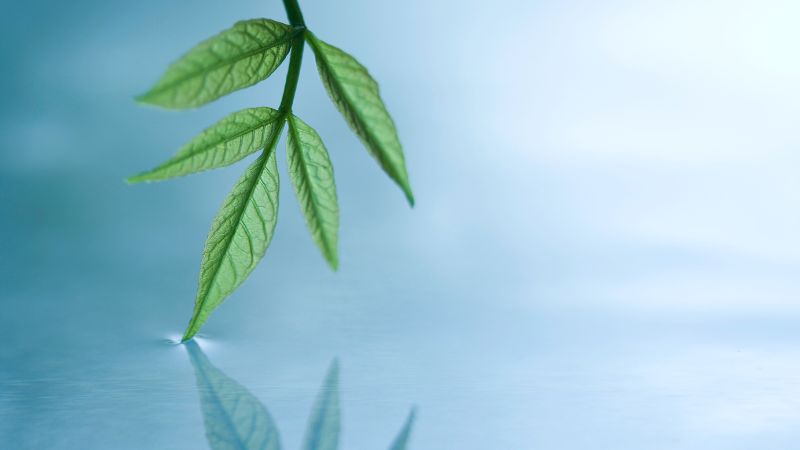 不倫からの結婚に迷ったら──ひとりで抱えず、専門家に相談を