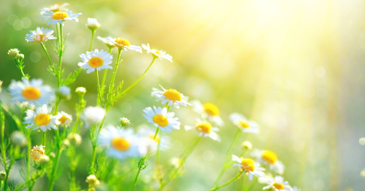 水子霊は成長する？霊能者に教えてもらった赤ちゃんの魂の真実