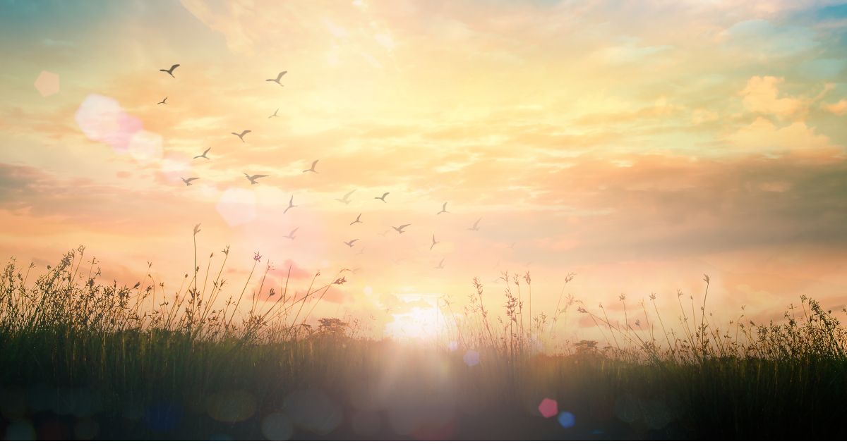 流産後のスピリチュアルな心のケア｜前を向くためにできること